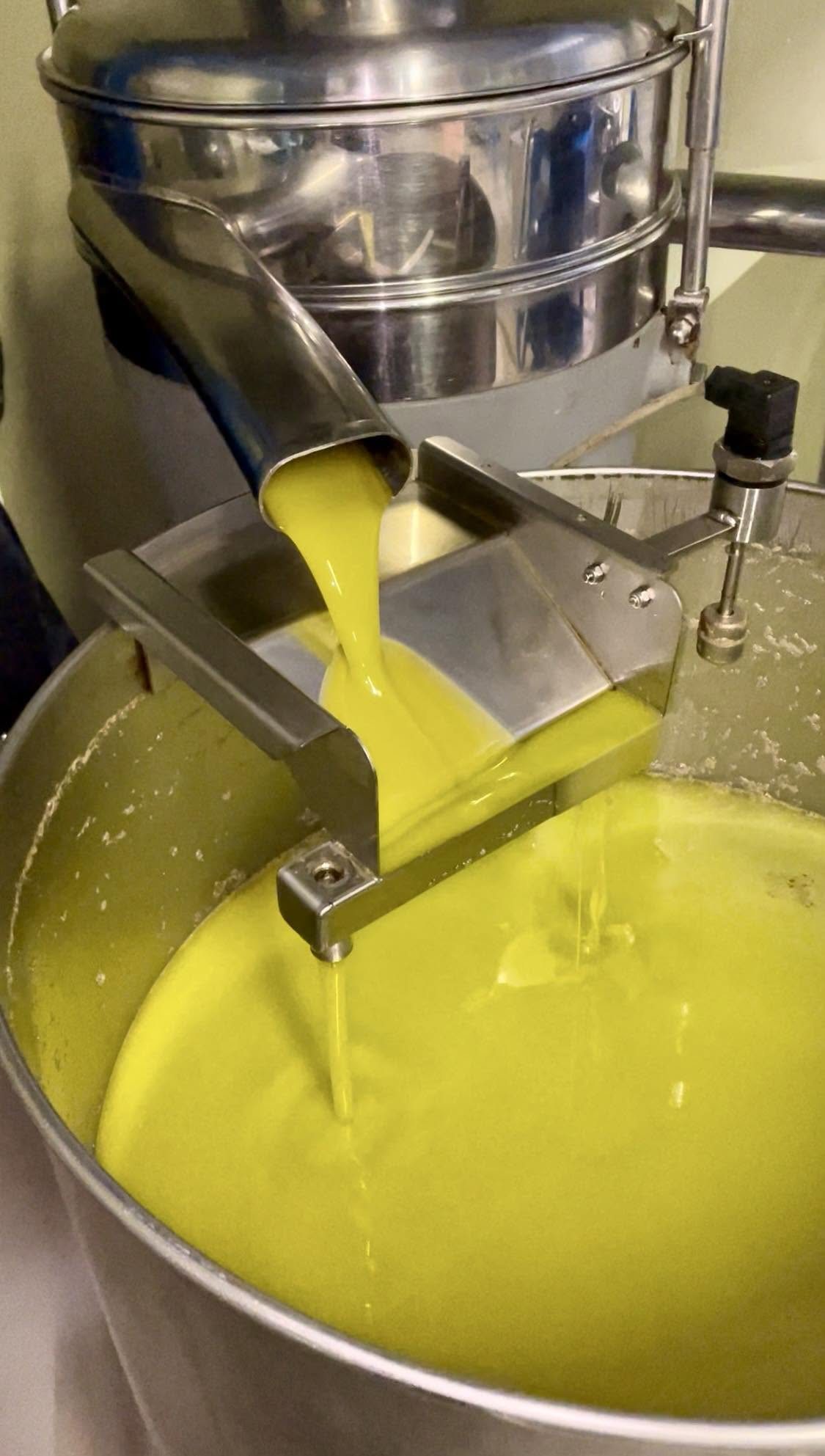 Au moulin, l'huile nouvelle coule dans la cuve